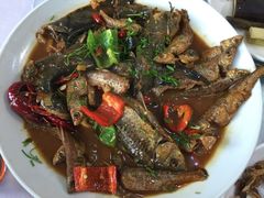 -天乐农家鱼头王(天目湖店)