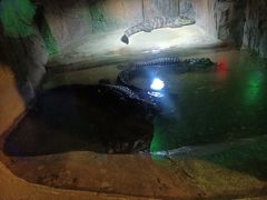 -秦岭风景区