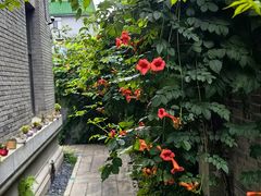 -庐灶江南·江南菜·四合院Bistro(东直门雍和宫·原华侨宾馆店)
