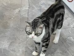 -贝康宠物医院·犬猫全科·小动物特色诊疗中心(东环路店)