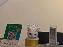 -Doors独立剧情密室(东门分店)