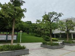 -广东中医药博物馆