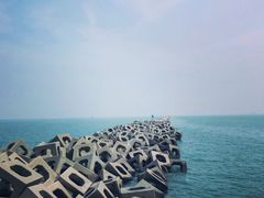 -东疆建设开发纪念公园