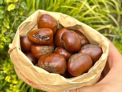 -高记桂花糖炒栗(鼓楼店)