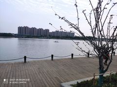 -映月湖中央公园