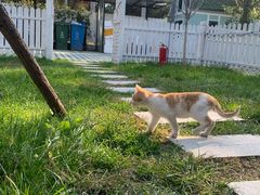 -TIPPI营地 房车主题·露营烧烤团建轰趴(天安假日店)