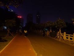 -万绿园