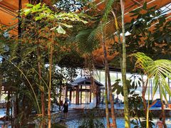 -汤泊温泉度假村