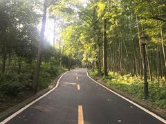 -潜山国家森林公园