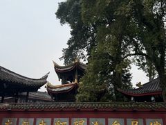 -峨眉山报国寺