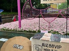 -人民公园-相亲角