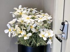 -如家酒店·neo(合肥国购广场三里庵地铁站店)