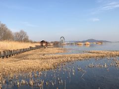 -太湖湖滨国家湿地公园-停车场