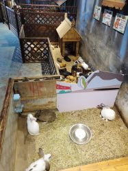 -酷嗒动物文化乐园(cutezoo西溪乐天城店)