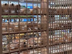-PAPER STONE BAKERY(天汇广场店)