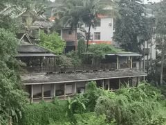 -中国科学院西双版纳热带植物园