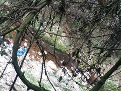 -福建天门山