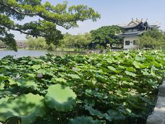 -江心屿景区