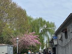 -丽江庭院之丽江往事(安定门店)