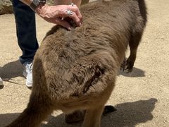 -费瑟代尔野生动物园