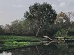 -西溪国家湿地公园