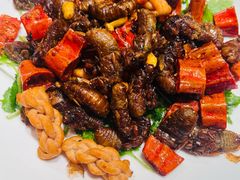 -杨氏青龙虾·羊蝎子(托乐嘉店)