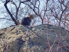 -北京西山国家森林公园