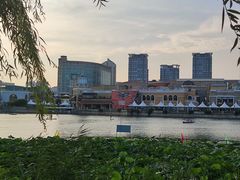 -WhaleSports户外水上运动俱乐部(朝阳公园店)