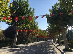 -赵州桥景区