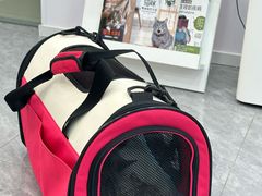 -爱洗澡的猫(望京店)