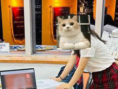 -JT PREP国际学科课程·IB·AP·Alevel(陆家嘴校区)