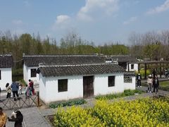 -溱湖国家湿地公园