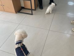 -美联众合动物医院·24h京西诊疗中心