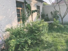 -Jo's Garden