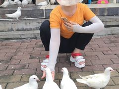 -飞来湖湿地公园