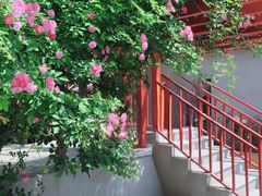 -元大都城垣遗址公园