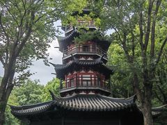 -上海佘山国家森林公园西佘山园