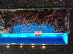 协成海鲜火锅-协成海鲜火锅(情侣路店)