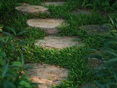 -人民公园(罗湖区)