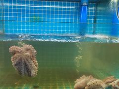 -坛南湾阿强农家乐.海鲜大排档老字号(福州地标美食店)