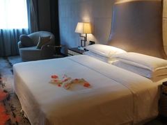 -西安赛瑞喜来登大酒店