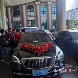 -宁波甬诚婚车(新典路店)