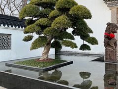 -广富林宰相府酒店·水云间