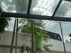 -樟宜机场免税店