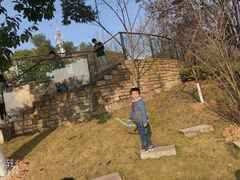 -铁山坪森林公园