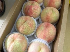 -老袁家蜜桃农场·阳山水蜜桃