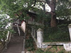 -蒋氏故居