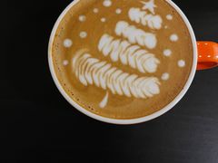 -SAFARI COFFEE