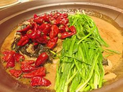 -玖五京菜(杭州城北万象城店)