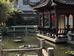 -碧江金楼